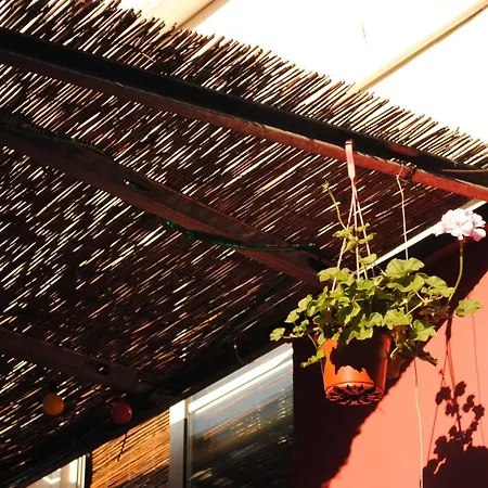 Hostel Casa Babylon Backpakers *