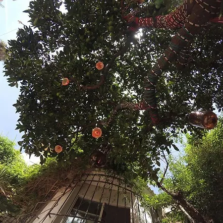 Casa Babylon Backpakers Hostel Malaga