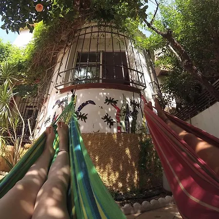 Casa Babylon Backpakers