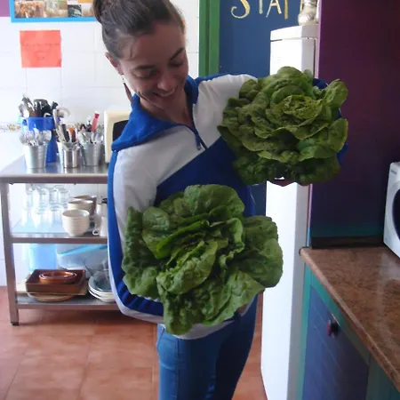 Casa Babylon Backpakers Hostel *