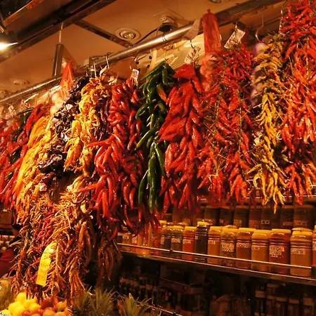 Casa Babylon Backpakers Hostel *