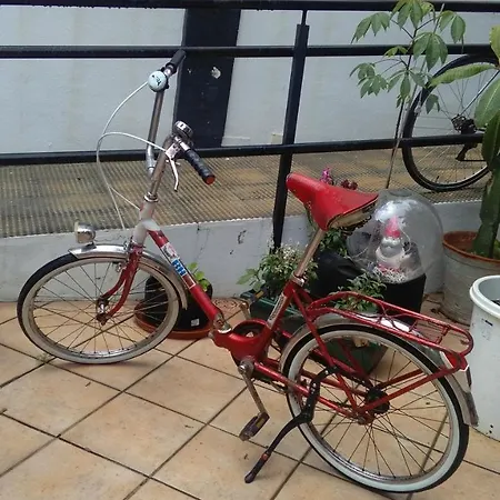 Casa Babylon Backpakers Hostel