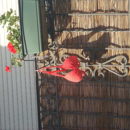 Auberge de jeunesse Casa Babylon Backpakers *